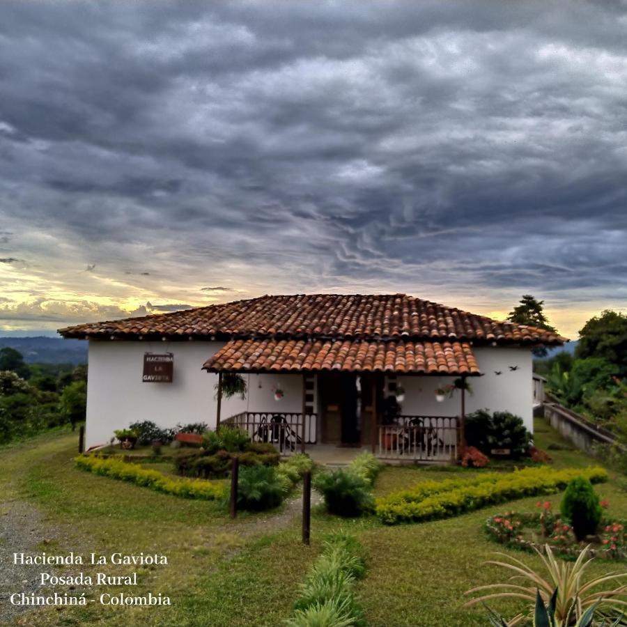 Hacienda Cafetera La Gaviota Villa Chinchiná Exterior photo